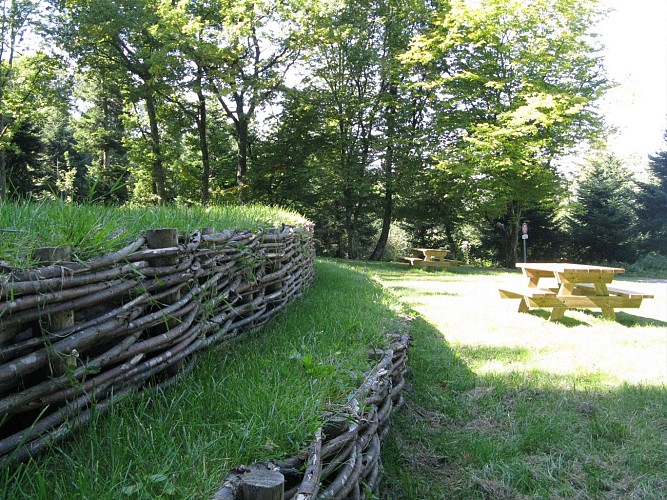 Aire-de-pique-nique-Mere-boitier