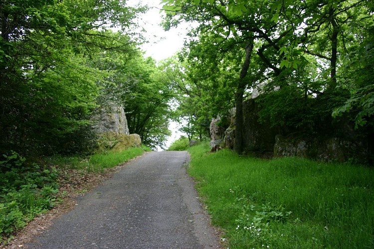 montée vers le sommet