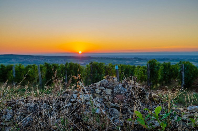 Lever de soleil Vergisson
