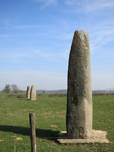 Menhirs d'Epoigny - Couches