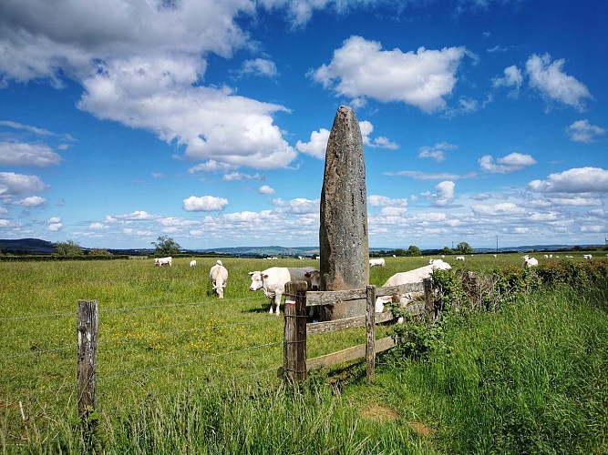 Menhirs d'Epoigny - Couches