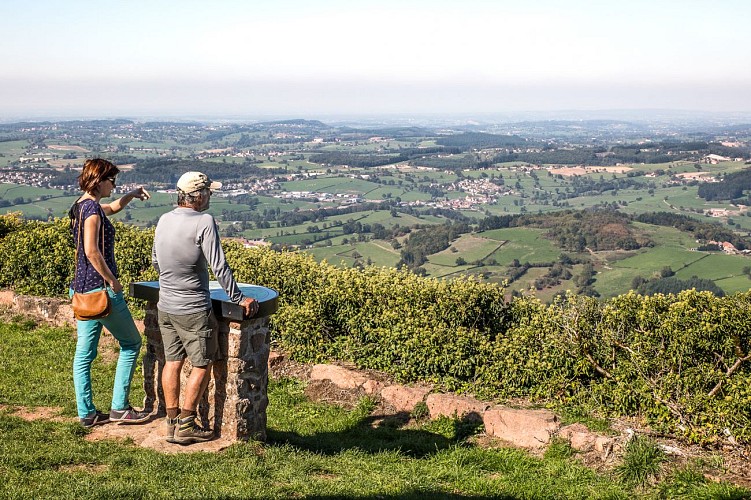 T. Lapetite092015 (7)