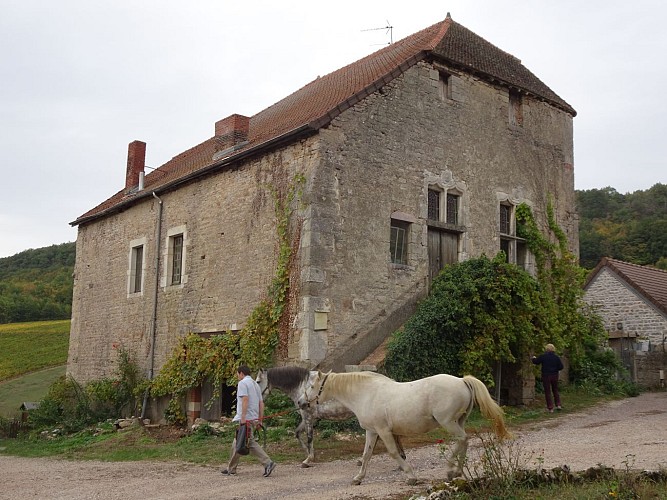Saint-Denis-de-Vaux---Ancien-Eveche---2018--3-