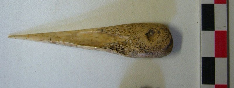 Chassey le Camp - Centre d'Interprétation - 2018 (12)