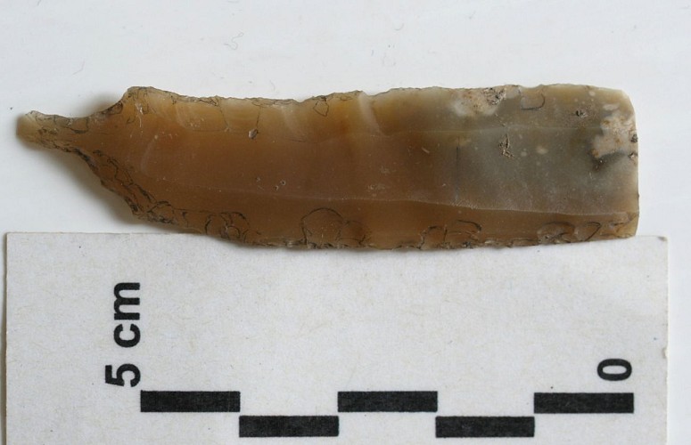 Chassey le Camp - Centre d'Interprétation - 2018 (4)