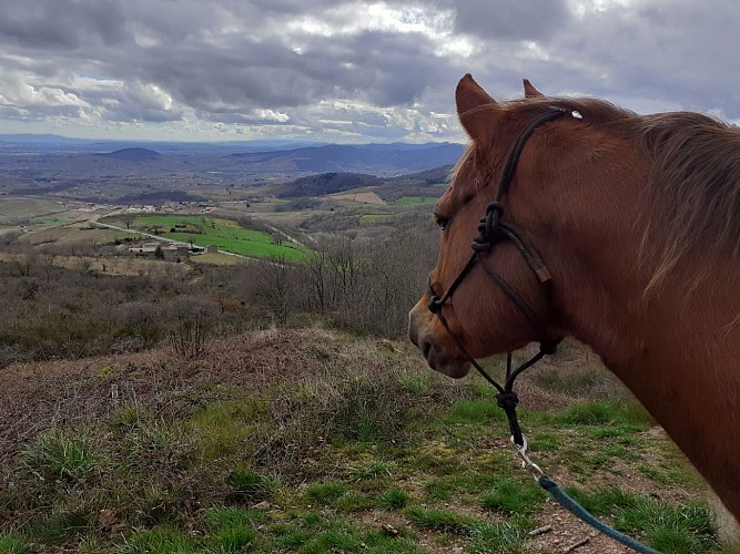 Cluny Balade Cheval