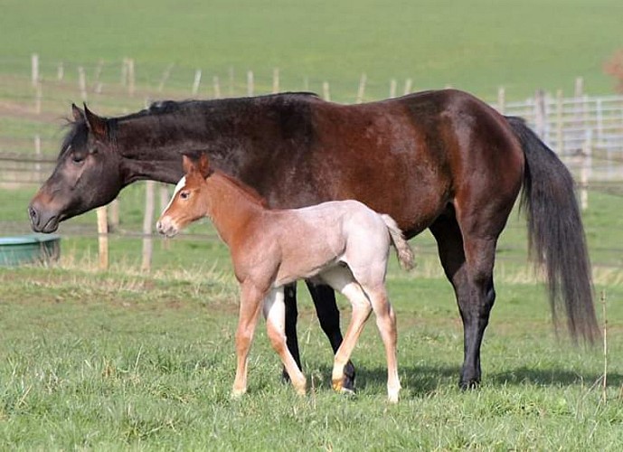 FB_IMG_1548269758932