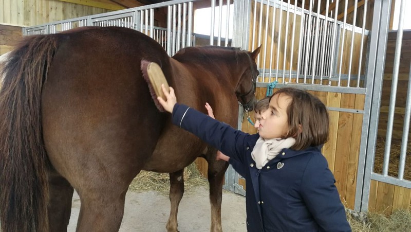 Stage Cheval Cluny Bourgogne