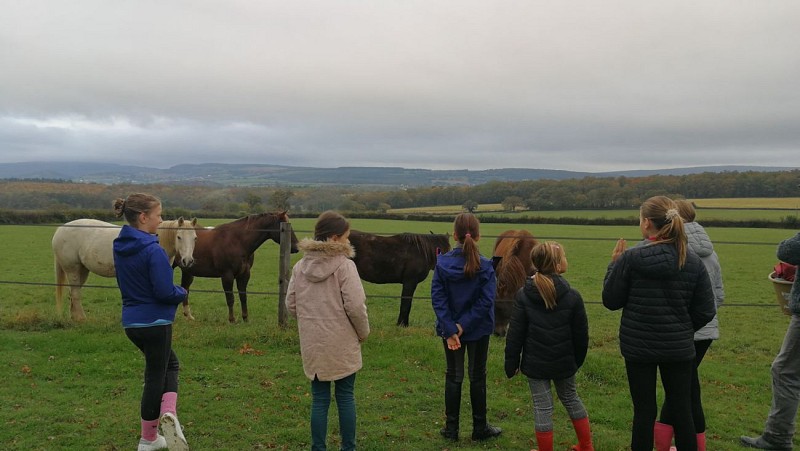 Stage Equitation Cluny Bourgogne