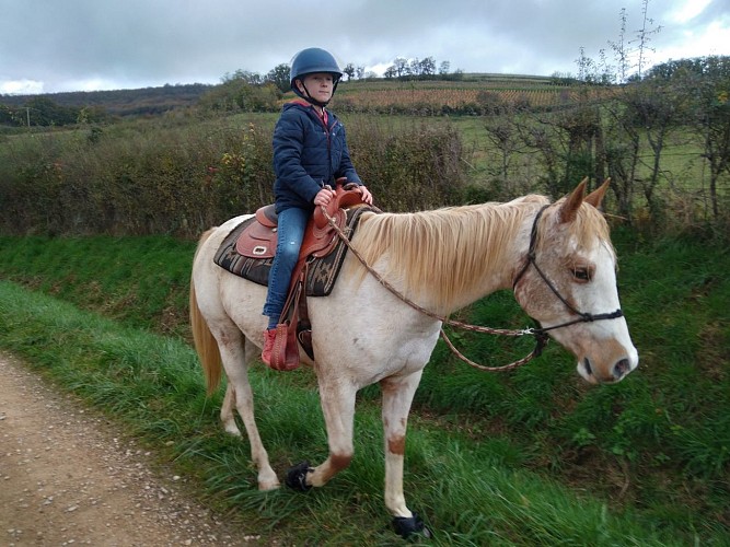 Cluny Horse Valley Stage Enfants Equitation 4