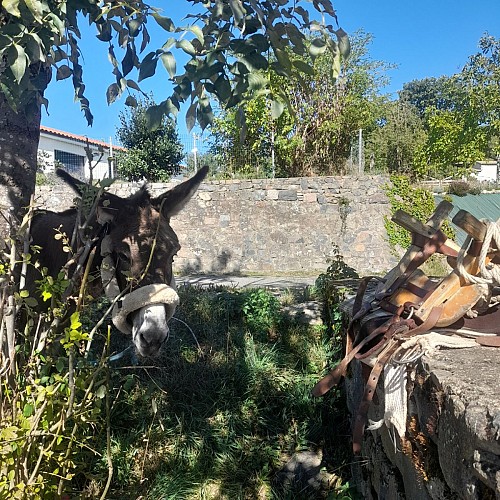 Gaspard avant de partir en rando