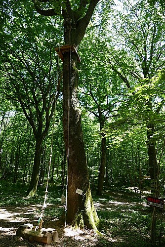 Depart Infranchissable