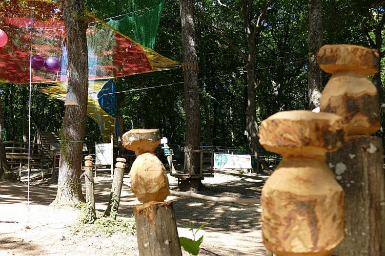 Les champignons de bois