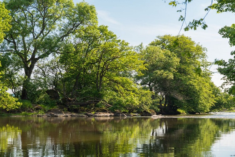 Olivier Leger-L'escargot Voyageur