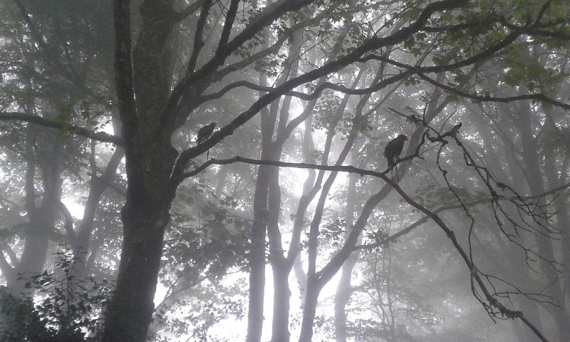 12182867-1521368141519365-3842307203046348867-o