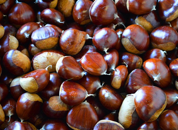 atelier-de-la-chataigne-dournazac