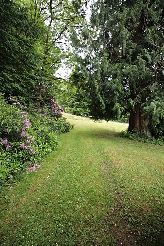 Gite "Brenac Jeune" à Eymoutiers en Haute-Vienne (Limousin_5