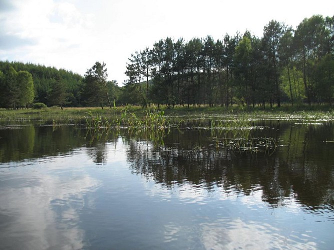 Les Chalets du bord du lac_6