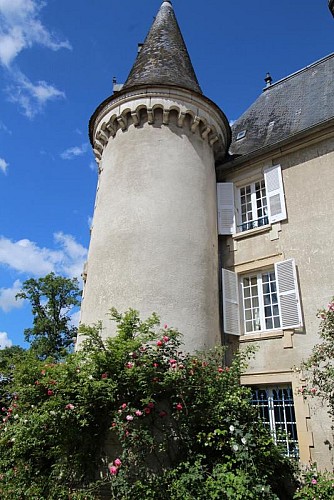 Chambre d'hôtes "Le Chateau De La Chabroulie" à Isle en Haute-Vienne (Limousin)- chambre verte_3