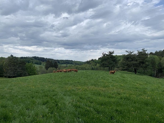 Location Gîtes de France  - Réf : 19G4201