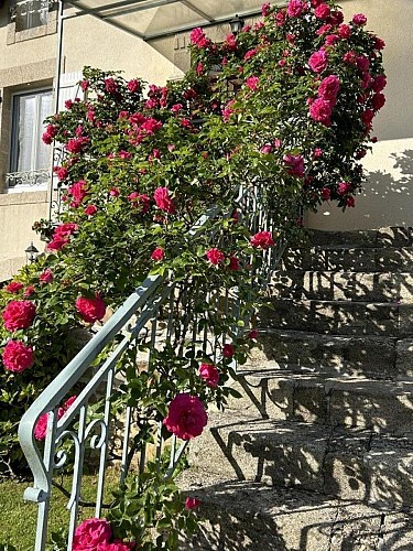 Location Gîtes de France - Réf : 19G5188