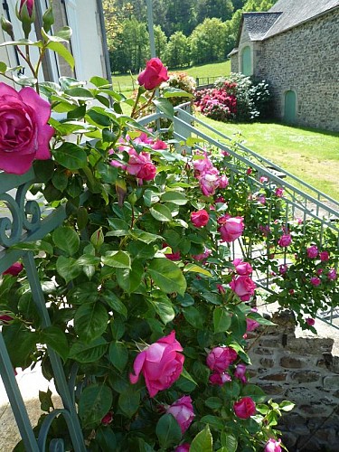 Location Gîtes de France  - Réf : 19G5188