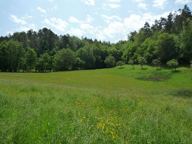 Location Gîtes de France  - Réf : 19G5188