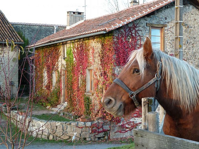 Gîte rural d'Odile ROBERT (87- Javerdat)