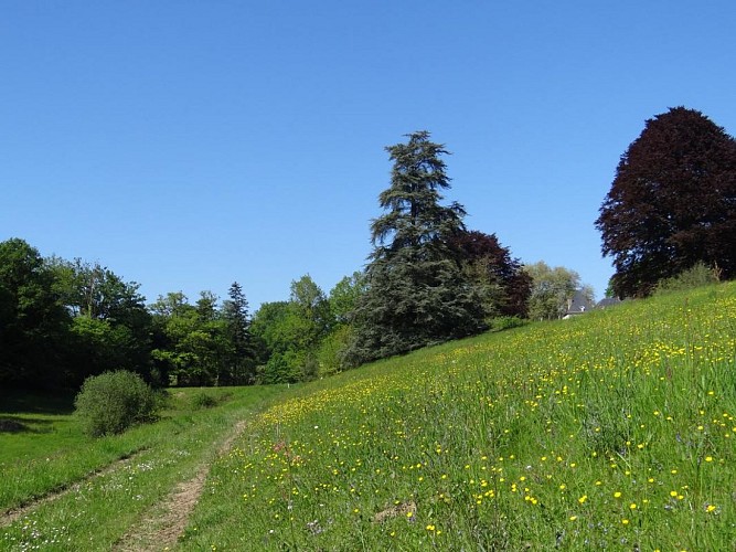 La cabane au bord de l'eau