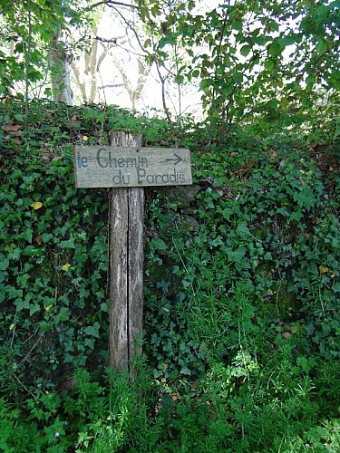La cabane au bord de l'eau