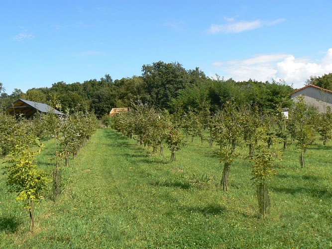 Arboretum de Voulème