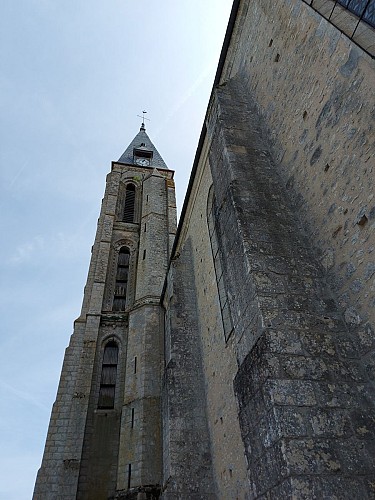 Eglise Notre Dame de l'Assomption à Milly-la-Forêt