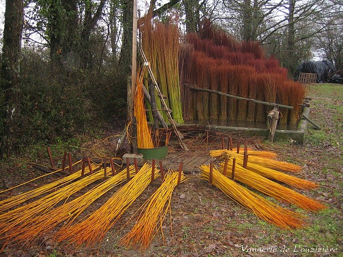 st-marsault-vannerie-de-lauziziere