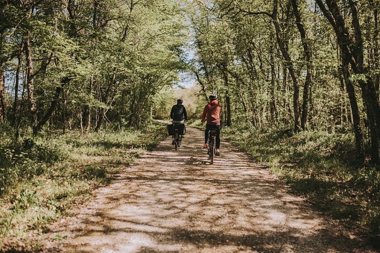 Stations bee's chaumont7