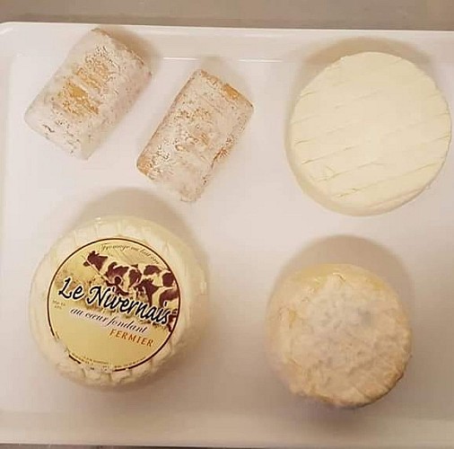 100087545_892978971178548_6002432794360283136_n