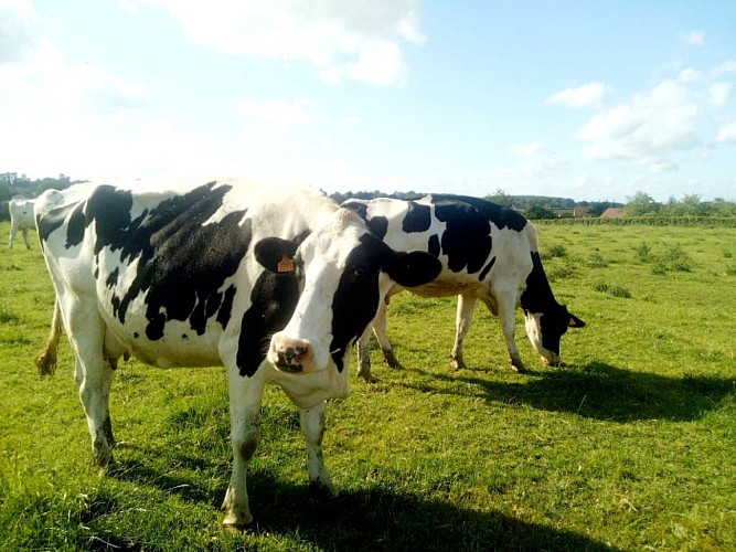 169397138_514198766632864_7681531220863798087_n