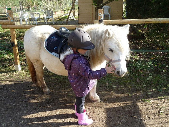 CENTRE EQUESTRE EQUITA-SAÔNE_1