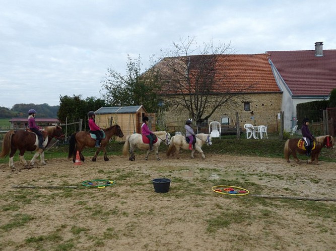 CENTRE EQUESTRE EQUITA-SAÔNE_3