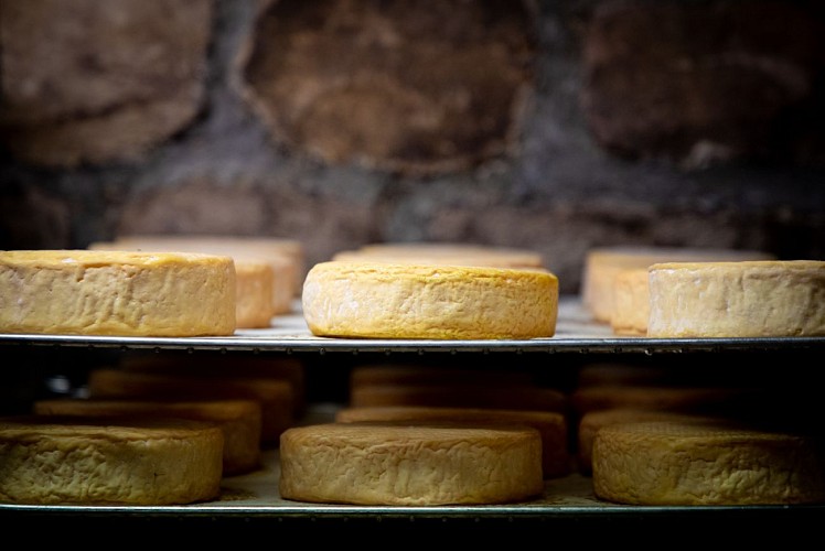 Munster menigoz (18)