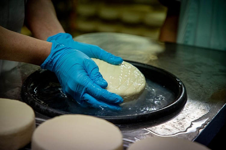 Munster menigoz (20)