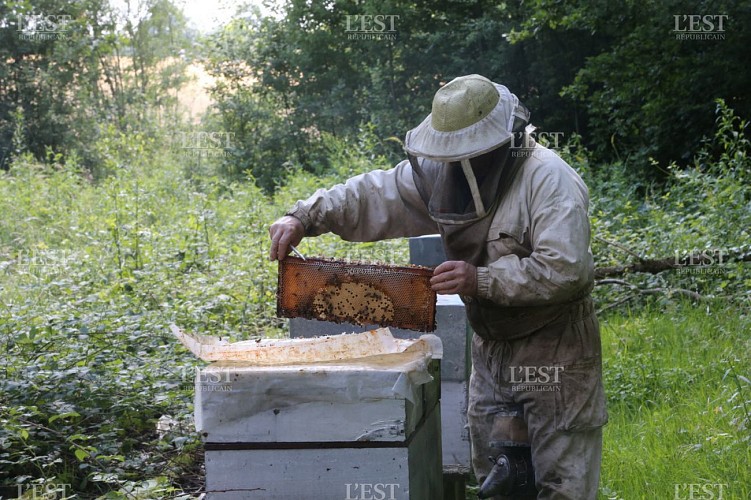 laurent-rivet-apiculteur