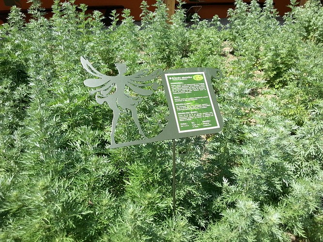 JARDIN SECRET DE LA FÉE VERTE_3