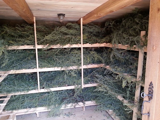 JARDIN SECRET DE LA FÉE VERTE_5