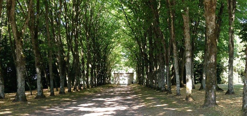 Parc du château de Ray-sur-Saône - Allée classique