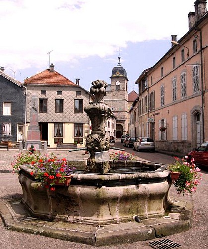 FAUCOGNEY-ET-LA-MER, CITE DE CARACTERE BOURGOGNE-FRANCHE-COMTE_5