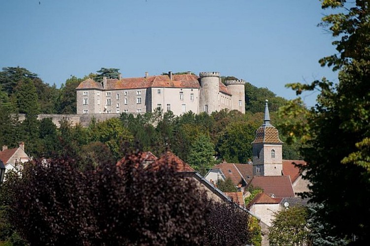 Château de Ray-sur-Saône - Vue depuis le village de Ray-sur-Saône
