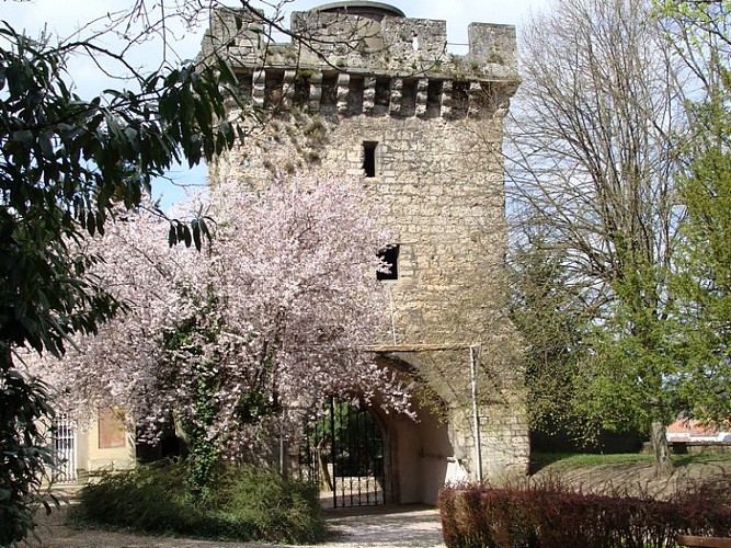 MUSEE BARON MARTIN_6