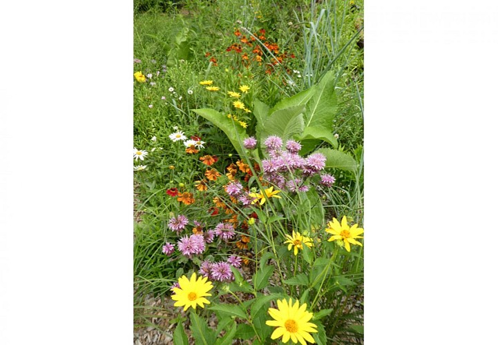 Parc Floral de La Roseraie