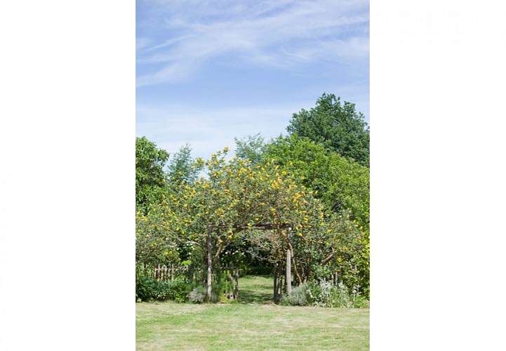 Parc Floral de La Roseraie