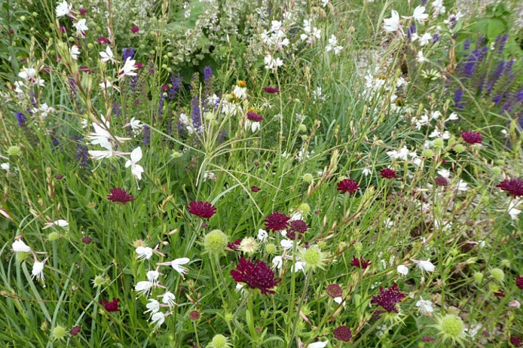 Parc Floral de La Roseraie